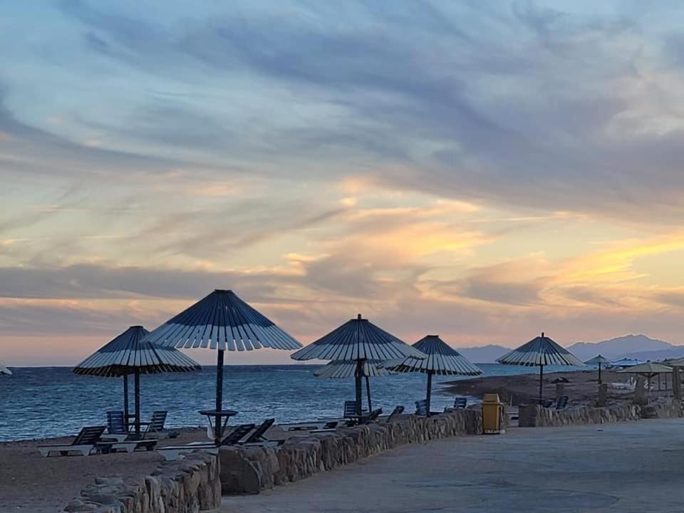 Lagona Dahab Village Exteriör bild