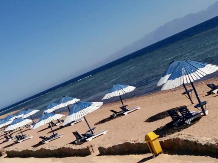 Lagona Dahab Village Exteriör bild