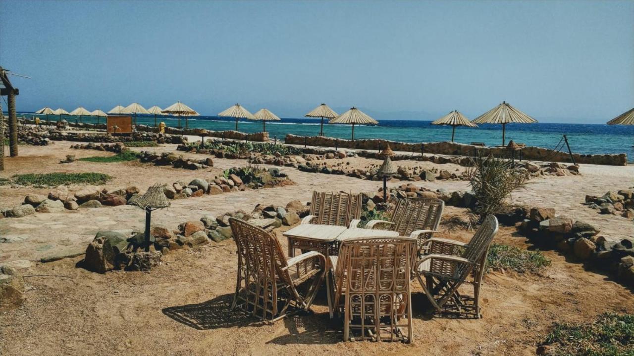 Lagona Dahab Village Exteriör bild